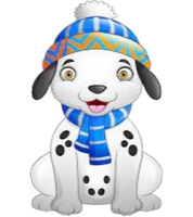 a cute winter dalmatian